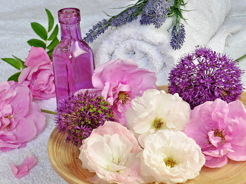 Massage m�thode KNAP